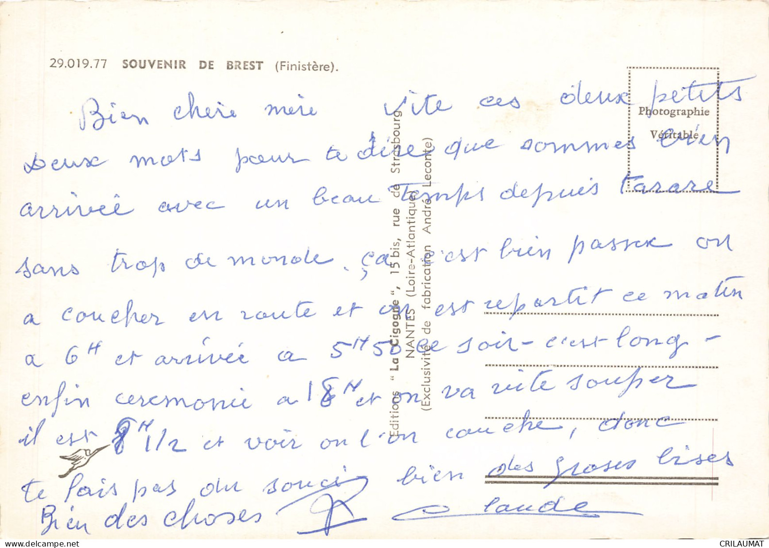 29 BREST - Brest