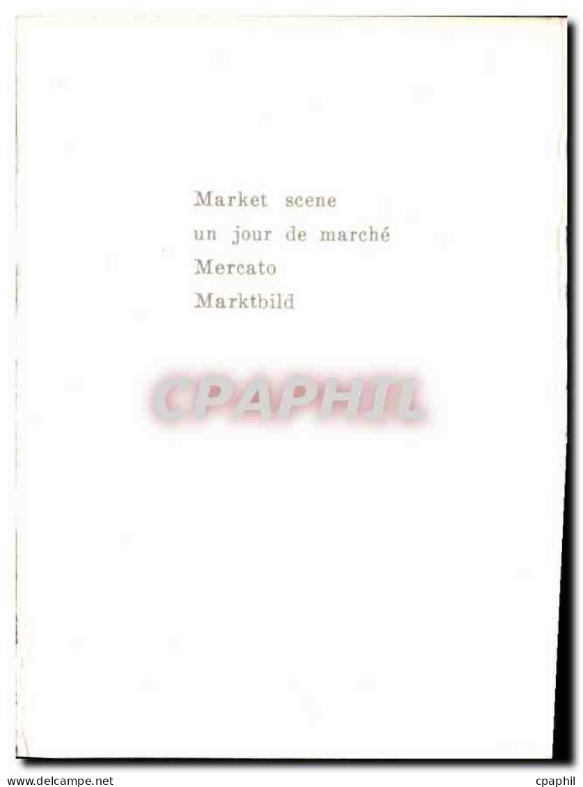 CPM Un Jour De Marche - Israel