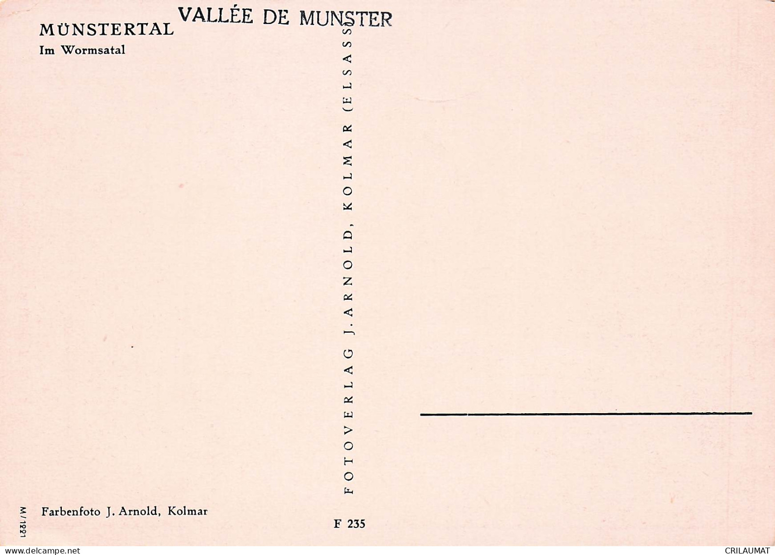 68 MUNSTER VALLEE DE MUNSTER - Munster