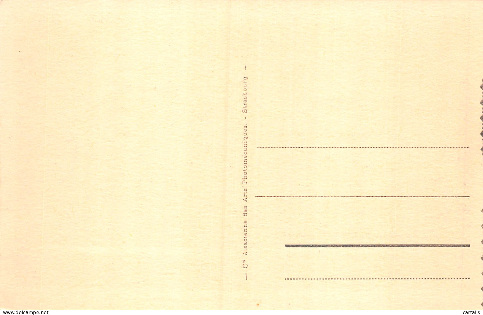 05-GAP-N°LP2997-E/0173 - Gap