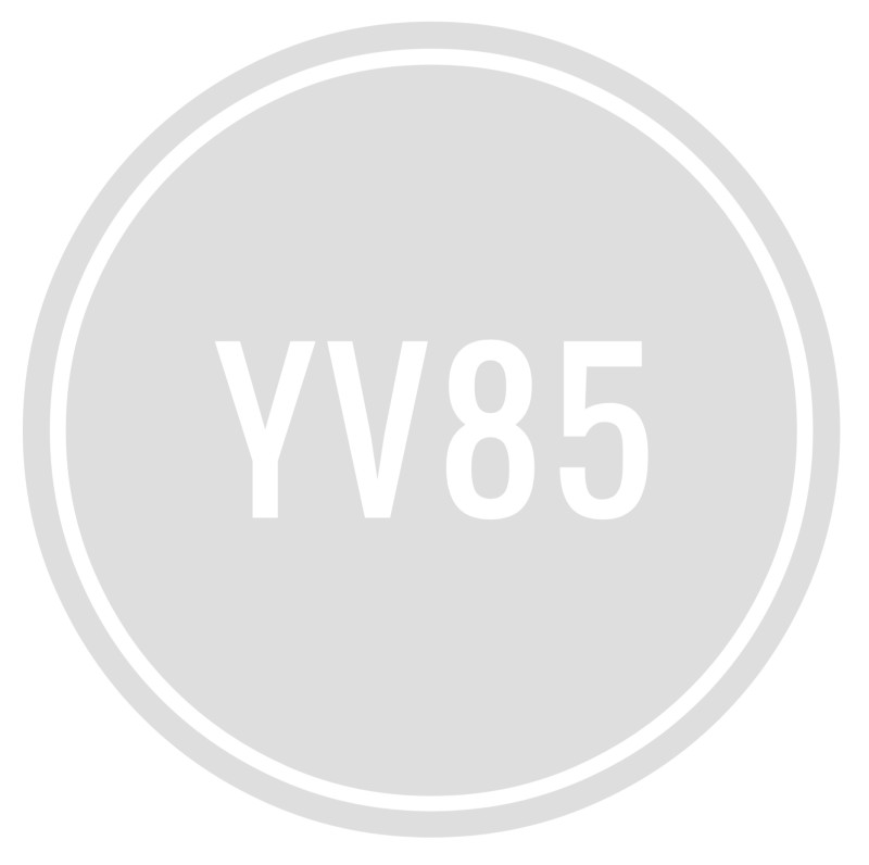 cybertroc-YV85