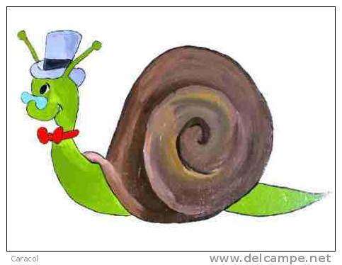 caracol