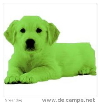 greendog