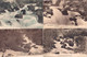 Delcampe - 84 . Fontaine De Vaucluse . Isle Sur Sorgue . 32 Cartes ( 27 CPA Issues De Carnets En Partie, 5 CPSM ) . - L'Isle Sur Sorgue