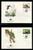 WWF 0009 1984 DOMINICA BIRDS SET OF 4 FDCS - Other & Unclassified