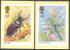 Set Of 5 Insects - Bugs And Beetles - Insects