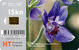 SREDOZEMNI VELIKI KOKOTIC - Croatia Old Chip Card * Flora Flore Flowers Fleurs Blumen Fiori Flores Flower Fleur Blume - Fleurs