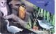 GRIFFON VULTURE ( Malte ) Owl Hibou Chouette Eule Buho Gufo Uilbird Oiseau Rapace Birds Of Pray Kingfisher Warbler - Arenden & Roofvogels
