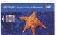 Portugal Undersea – Starfish – Seestern – Estrella De Mar – Asterie – Etoile De Mer – Stella Di Mare 2. ( See Scan ) - Portugal
