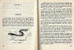 LES PECHES DE GREVES  - 162 PAGES  -  QUELQUES  ILLUSTRATIONS  -  1969 - Jacht/vissen