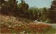 Los Angeles - Entrance To Griffith Park - Los Angeles