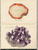 SEMI-PRECIOUS STONES  -  A KINK PENGUIN BOOK - ILLUSTRATIONS DE ARTHUR SMITH  - 1952 - 49 PAGES - Autres & Non Classés