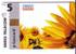 SUNFLOWER ( Switzerland ) Tournesol - Soleil - Girasol - Girasole - Sonnenblume - Sunflowers - VERY RARE Suisse Card - Fleurs