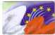 Malta Member Of The European Union EU ( Malta Card ) ** Flag - Stars - Flags - Drapeau - Malte