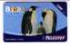 PENGUIN ( Greece Card )*** Pingouin - Manchot - Pinguin - Pingüino - Pinguino - Penguins - Pingouin - Damaged Card - Pinguïns & Vetganzen