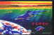 Animal Picture Poster - The Universe´s Change - Dolphins And Whales - Delfine
