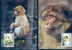 WWF SINGES MACAQUES 4 CARTES MAXIMUMS DIFFERENTES  D ALGERIE  1988 - Affen