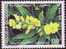 Nouvelle-Calédonie  N° 599 ** Et 600 ** - Unused Stamps