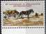 PIA - ONG - 1985 - 40° Des N.U. - (Yv 133-34) - Unused Stamps