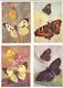 Butterflies. 16 Different Russian Postcards - Insects