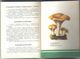 Old Russian Book: Hand-Book Of Mushroomer (1990) - Encyclopaedia