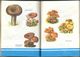 Delcampe - Old Russian Book: Hand-Book Of Mushroomer (1990) - Enciclopedias