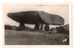 Cpsm - Locmariaquer - La Table Des Marchands, Un Des Plus Beaux Dolmens Connus - Locmariaquer