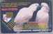 Russia. St. Petersburg. SPT 2000: Mail Service, Parrots (6) - Russia