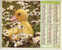 CALENDRIER ALMANACH  PTT GRAND FORMAT EN DOUBLE ANNEE 1986 LAPIN  /CANARD - Groot Formaat: 1981-90