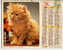 CALENDRIER ALMANACH  PTT GRAND FORMAT EN DOUBLE ANNEE 1990 FILLETTE ET CHATON /CHAT /CHATON - Grossformat : 1981-90