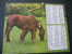 CALENDRIER GRAND FORMAT DOUBLE ALMANACH DES PTT    1980 CHEVAUX ET POULAINS - Grand Format : 1971-80