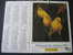 CALENDRIER GRAND FORMAT DOUBLE ALMANACH  PTT 1993 CANARIS JAUNES/ OISEAUX DES ILES EXOTIQUES - Groot Formaat: 1991-00