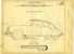AUTO   CITROEN -- DICTIONNAIRE DE REPARATIONS DS 19 --N° 465 EDITION 1960-184 PLANCHES-475 TEXTE - Auto