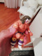 WWF WRESTLING Ultimate Warrior HASBRO ACTION FIGURE - Kleding, Souvenirs & Andere