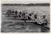 OLYMPIA 1936 - CANOTAGE / AVIRON : ÉQUIPAGE Du 8 + 1 De L´ ITALIE - À VOIR DÉTAILS AU DOS ! (z-349) - Rowing