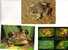 Timbres Et Carte Sur Les Grenouille - Stamps And Postcard On Frog - Ranas