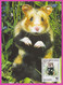 D554 / Bulgaria Maxi Card  Maximum Cards 1994 /4138 WWF CRICETUS HAMSTER Bulgaria Bulgarie Bulgarien Bulgarije - Brieven En Documenten