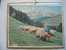 ALMANACH DES POSTES &TELEGRAPHES 1964 TROUPEAU MOUTONS AU COL  D'ASPIN ETAT  VOIR SCANN PAS FACILE A TROUVER COMPLET - Grossformat : 1961-70