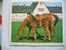 CALENDRIER ALMANACH DES P.T.T. DOUBLES PHOTOS  DE 1977 JUMENT ET POULAIN / JEUNE CHAT - Big : 1971-80