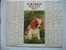 CALENDRIER ALMANACH DES P.T.T. DOUBLES PHOTOS  DE 1977 CHIOT  / JEUNE CHAT - Formato Grande : 1971-80