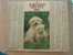 CALENDRIER ALMANACH DES  P.T.T. 1982  CHIENS / COTONS DE TULEAR TECKELS A POILS LONGS - Grossformat : 1981-90