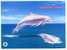 ENTIER POSTAL CHINE  STATIONERY 1ER JOUR  DAUPHIN WWF - Dauphins