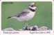Télécarte à Puce Allemagne - ANIMAL - OISEAU PLUVIER - PLOVER BIRD Chip GERMANY - Regenpfeifer Chip TK Vogel - 01 - O-Series : Séries Client