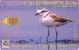 Télécarte à Puce Allemagne - ANIMAL - OISEAU PLUVIER - PLOVER BIRD Chip GERMANY - Regenpfeifer Chip TK Vogel - 02 - O-Series : Séries Client