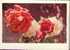 Bel Entier Carte Postale Russe Sur Les Roses (15) - Rosen