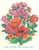 Uco+cq Bulgaria PSE Stationery 1991 Flowers TULIP ROSE GERGINA  Mint , Post Dove Mint/6381 - Rosen