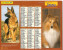 CALENDRIER - ALMANACH DES PTT - ANNEE 2001 . LAVIGNE  - Photos Eric Planchard , John Daniels/ardea Et Kleim-Hubert/Blois - Big : 2001-...