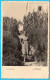 DUBROVNIK  Ragusa ) - Lady In The Park ( 1940. ) * Croatia * Not Travelled - Croazia