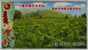 Tobacco Planting Field,China 2007 Ningdu Tobacco Monopoly Bureau Advertising Pre-stamped Card - Tabak