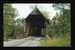 Mellons Mill Covered Bridge Near Oxford, Alabama - Sonstige & Ohne Zuordnung